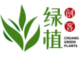 安瑾瑜